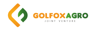 branding_GolfoxAgro
